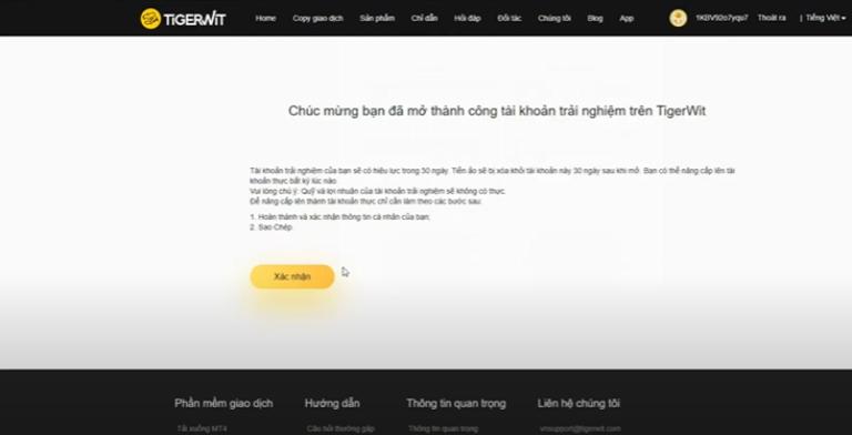 TigerWit có tính năng Copy Trading 