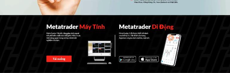 Hantec Markets hỗ trợ nền tảng MT4 và MT5