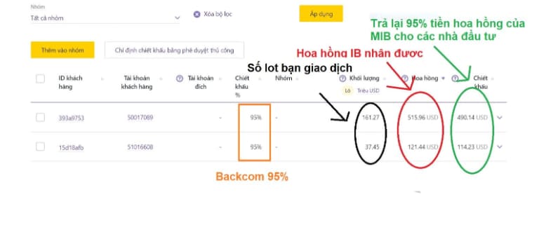 back com forex là gì tìm hiểu chi tiết