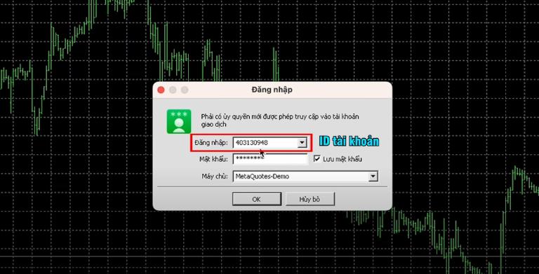 Những lưu ý quan trọng khi đăng nhập Exness trên MT5
