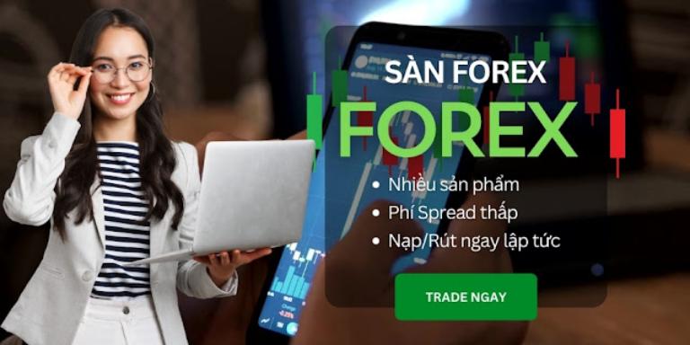 Địa chỉ học Forex cho người mới bắt đầu